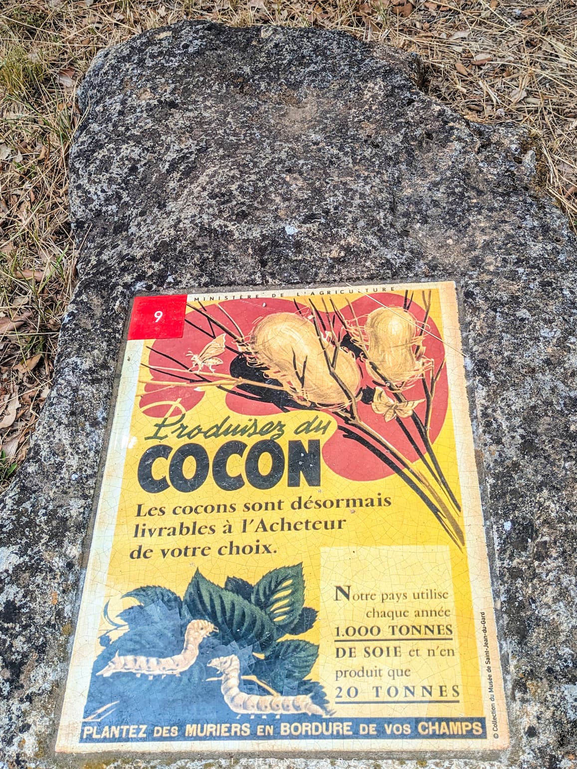 Produisez du cocon