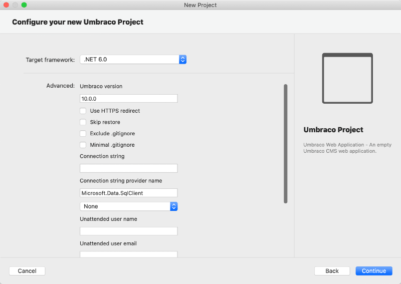 You are able to specify some project parameters like Target framework. The rest are optional.