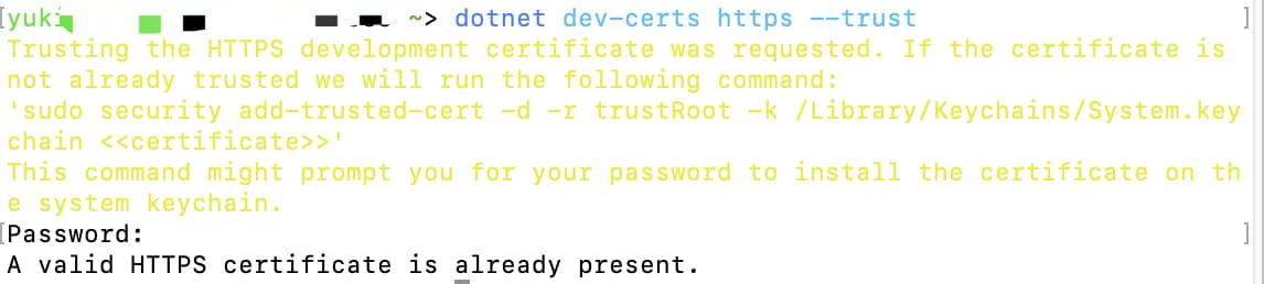 Trusting the HTTPS development certificate