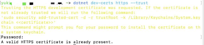 Trusting the HTTPS development certificate